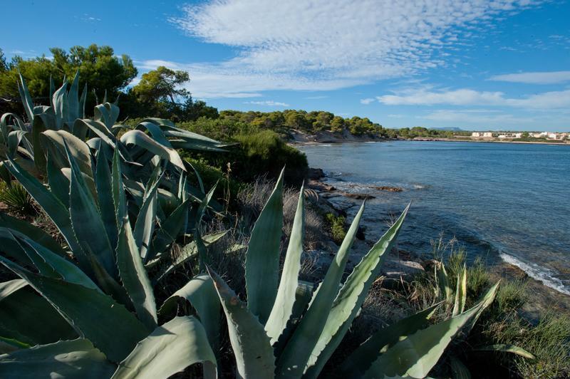 Casitas De Pescadores El Estanyol Dış mekan fotoğraf